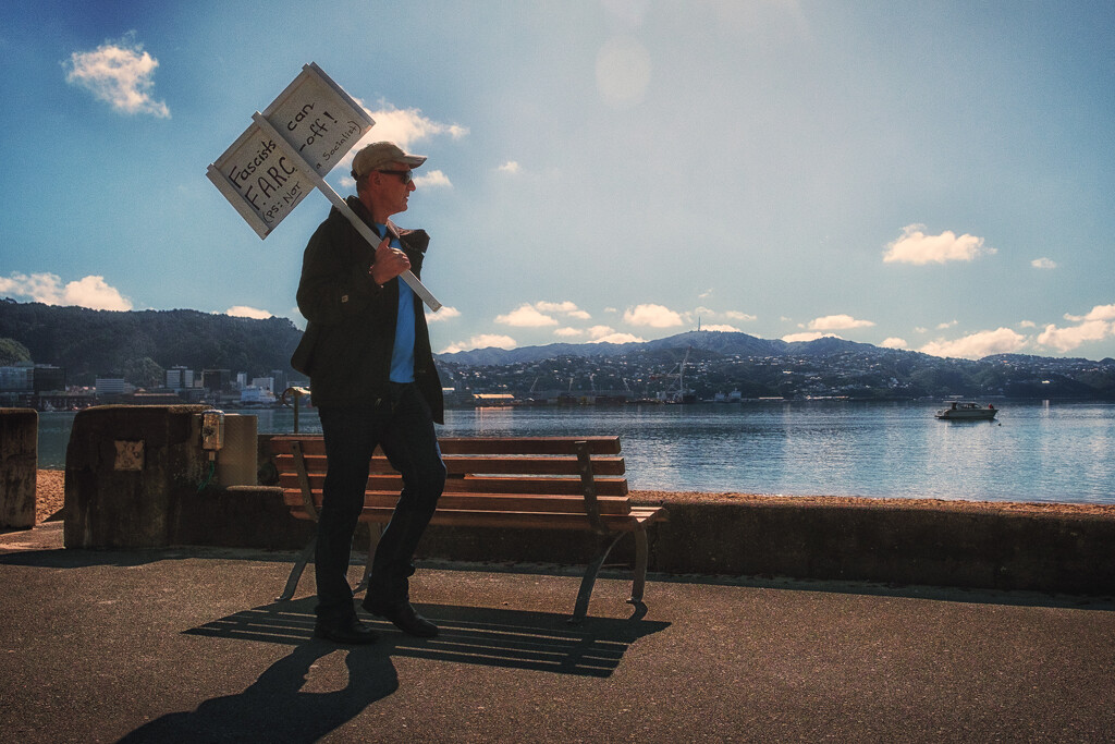 Promenading Protester by helenw2