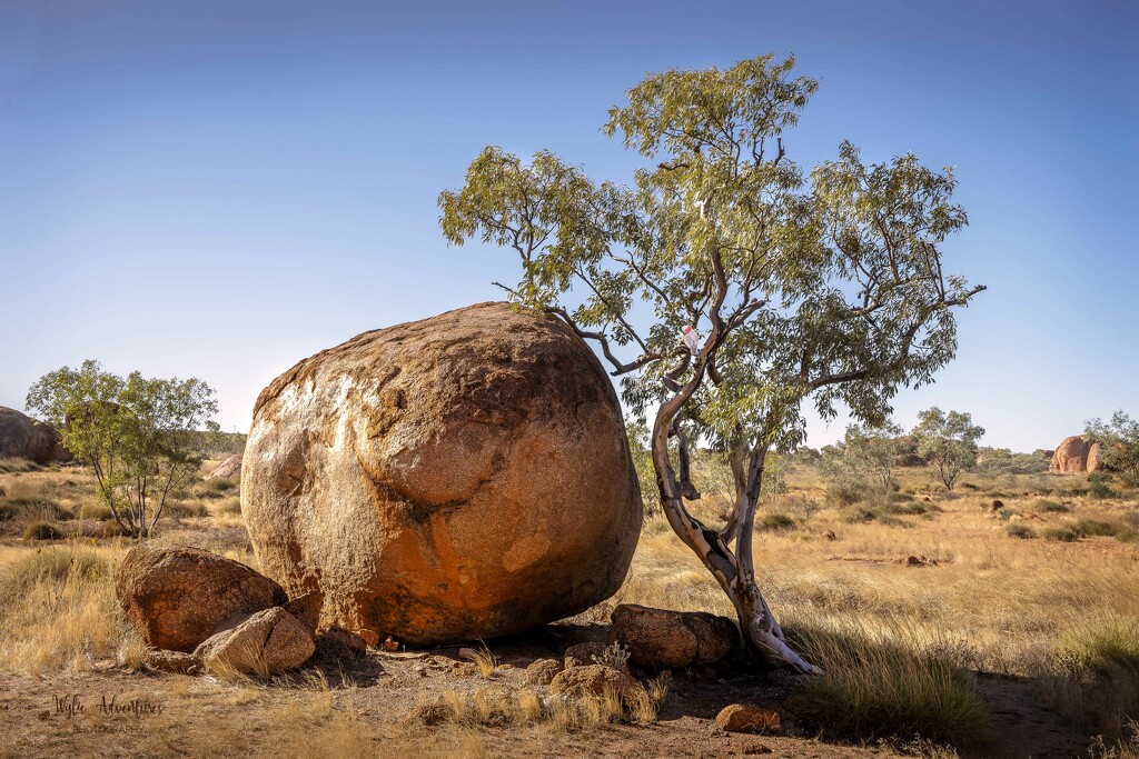 The Devils marbles  by pusspup