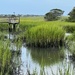 Dock and marsh by congaree