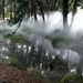 Fog sculpture by ankers70