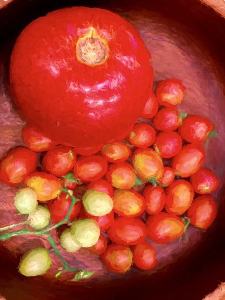 Tomato harvest by samae