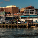 Portland (East Coast) from the waterfront by joansmor