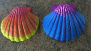 24th Aug 2022 - Painted shells