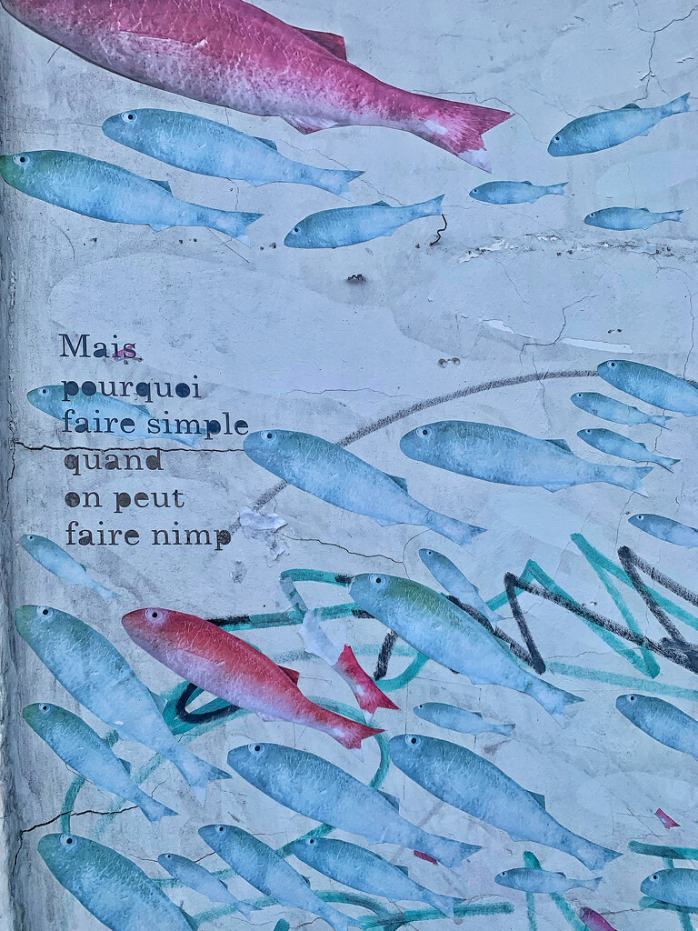 Fishes and poetry.  by cocobella