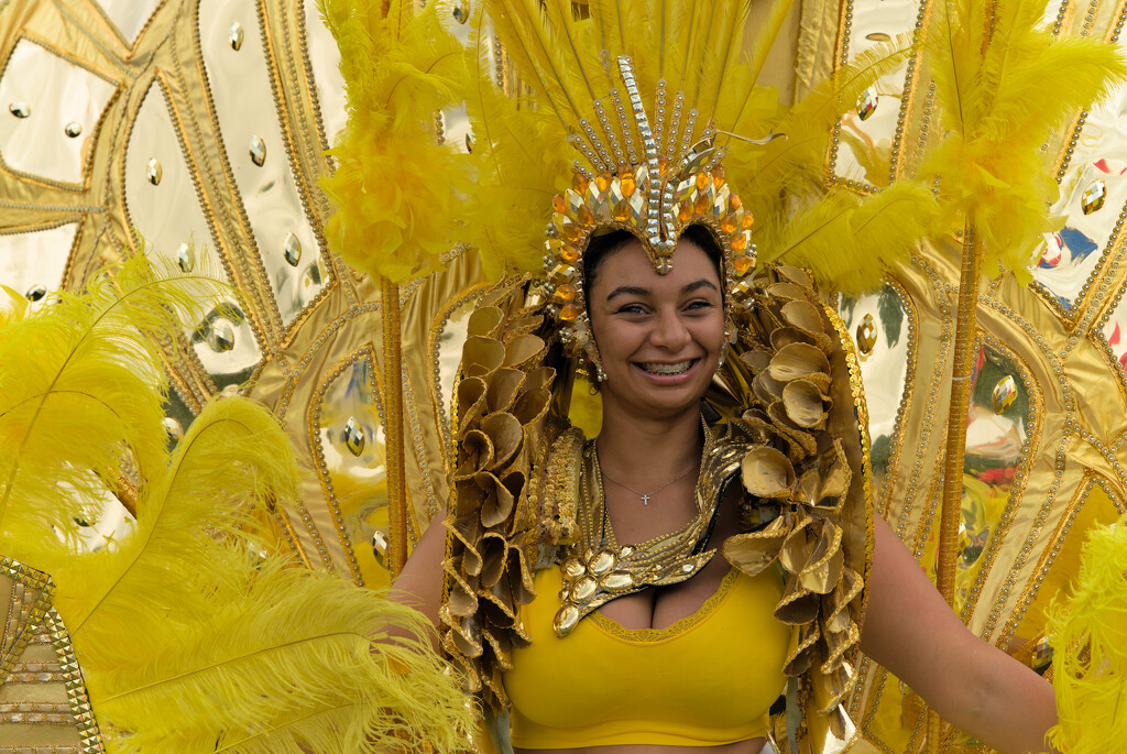 Carnival Yellow  by phil_howcroft