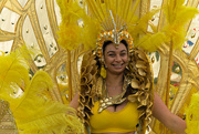 24th Aug 2022 - Carnival Yellow 