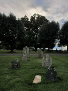 24th Aug 2022 - A trip to the cemetery