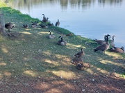 24th Aug 2022 - At The Park 