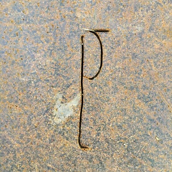 p by mastermek