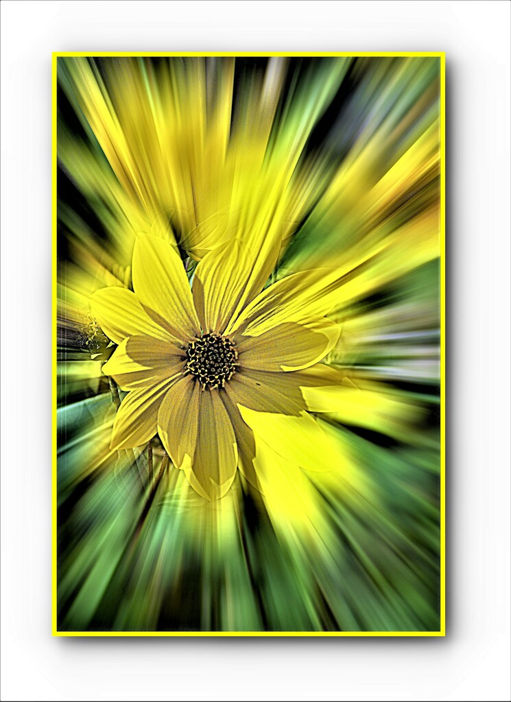  Abstract-25-Yellow Zoom ! by beryl