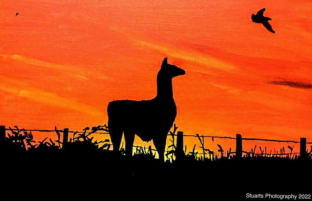 Sunrise and silhouettte painting by stuart46