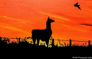 26th Aug 2022 - Sunrise and silhouettte painting