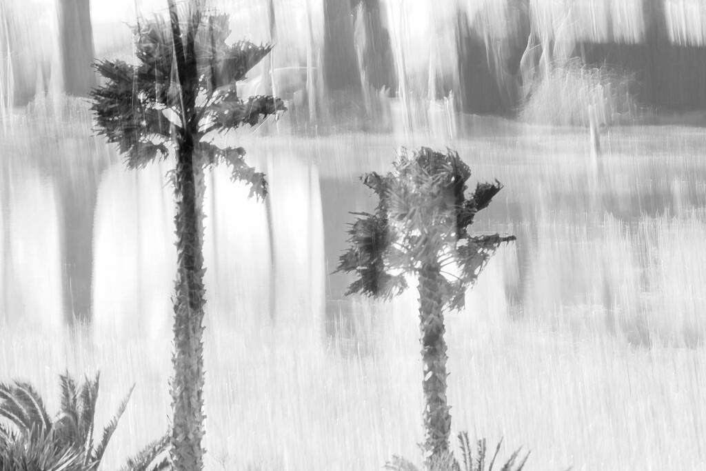 A bit of rain ... by dkbarnett