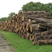 Wall of Logs by oldjosh