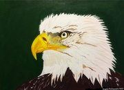27th Aug 2022 - Eagles head painting 