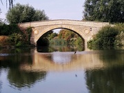 27th Aug 2022 - Tadpole Bridge with a Swooping Swift