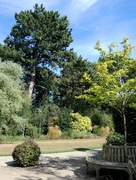 27th Aug 2022 - View from the Circles Garden, Homestead Park