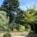 View from the Circles Garden, Homestead Park by fishers