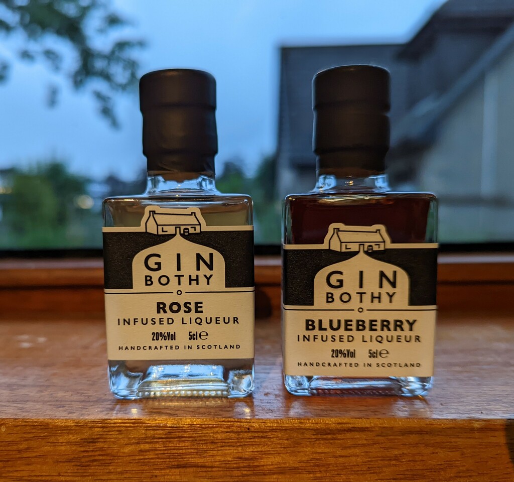 Two little gin bottles  by sarah19