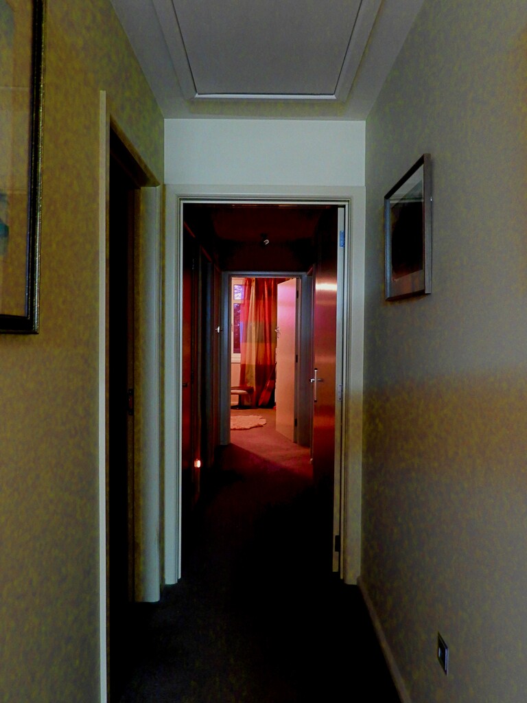 Our back hallway by maggiemae