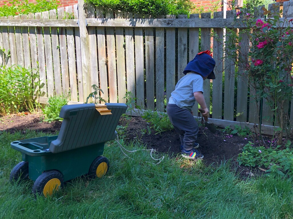 Our Little Gardener by pej76