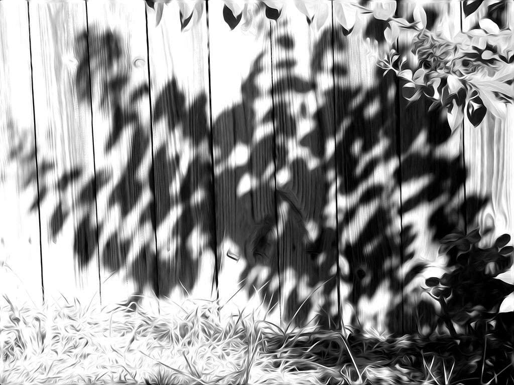 Sketchy shadows... by marlboromaam