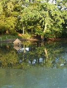 27th Aug 2022 - Village pond . . . 