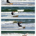 wind surfing  by christinav