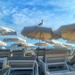 Seagull on umbrella.  by cocobella