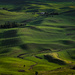 Palouse Hills from Steptoe Butte by jyokota