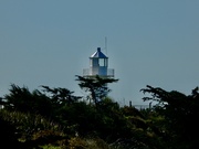 30th Aug 2022 - Jack's Point lighthouse