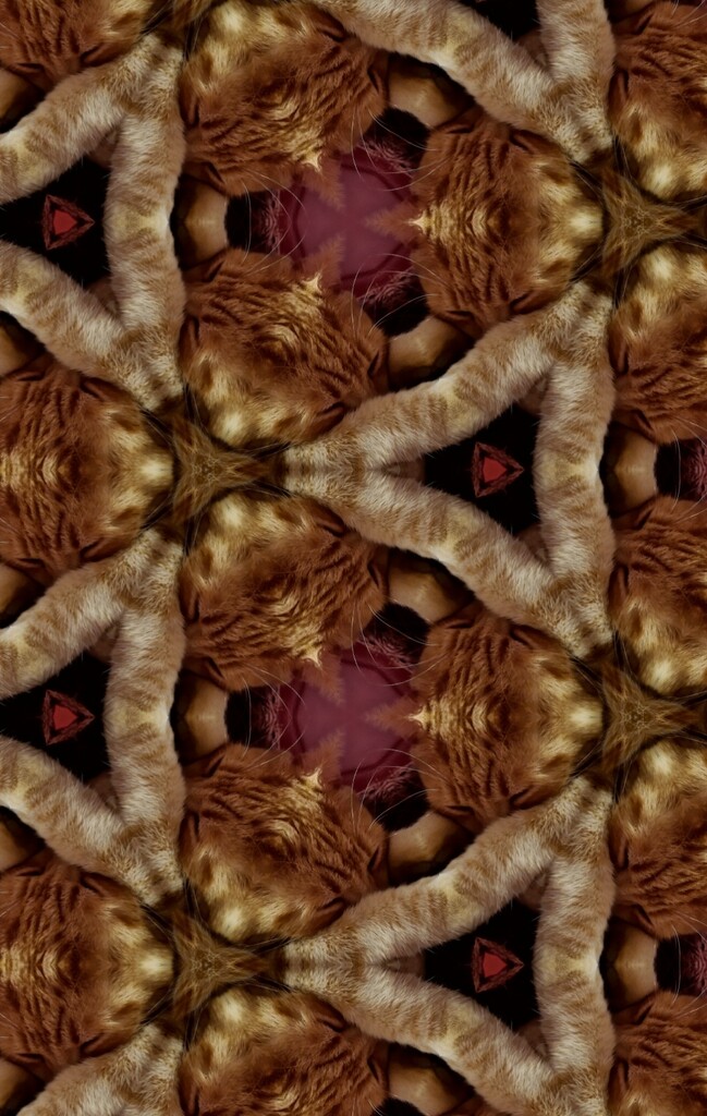 Kaleidoscope  by serendypyty