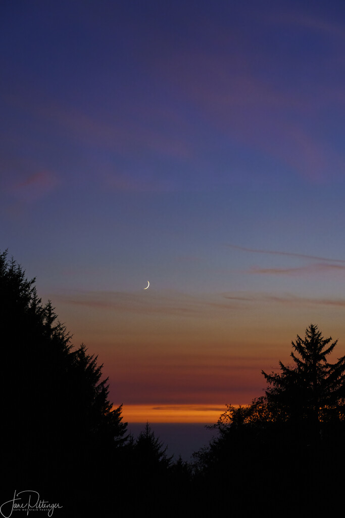 Sliver Moon at Sunset by jgpittenger