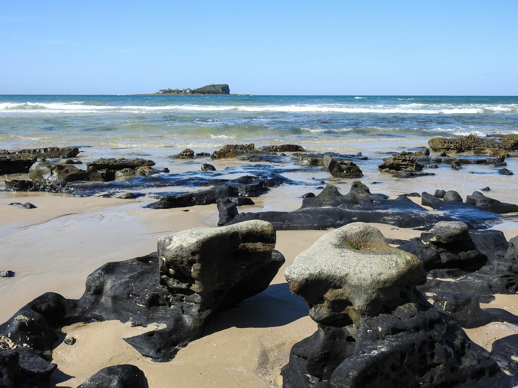 Mudjimba Beach rocks by jeneurell