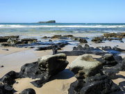 26th Aug 2022 - Mudjimba Beach rocks