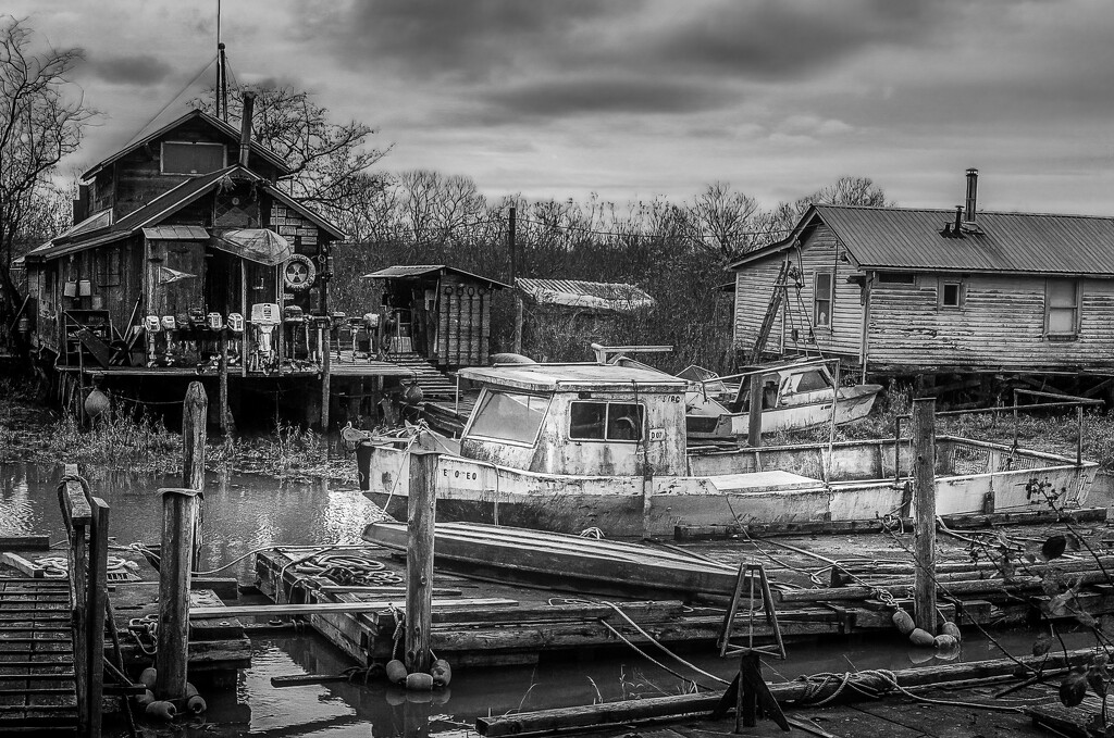 Finn Slough (for Analog August) by cdcook48