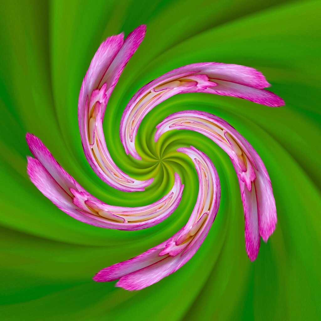 Swirl by shutterbug49