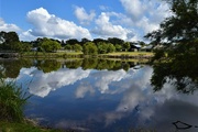 1st Sep 2022 -   Lakeside Cloud Reflections ~   