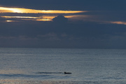 30th Aug 2022 - Dolphin Sunrise