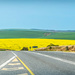 My first sighting of the Canola fields by ludwigsdiana