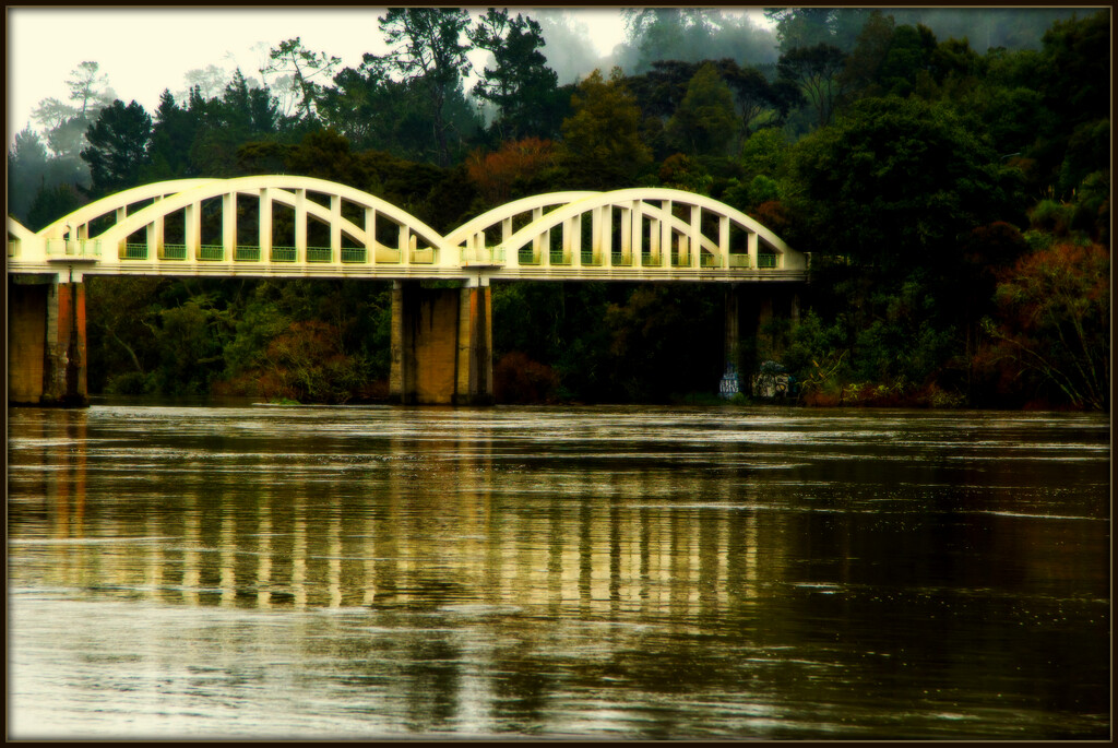 Tuakau Bridge by dide