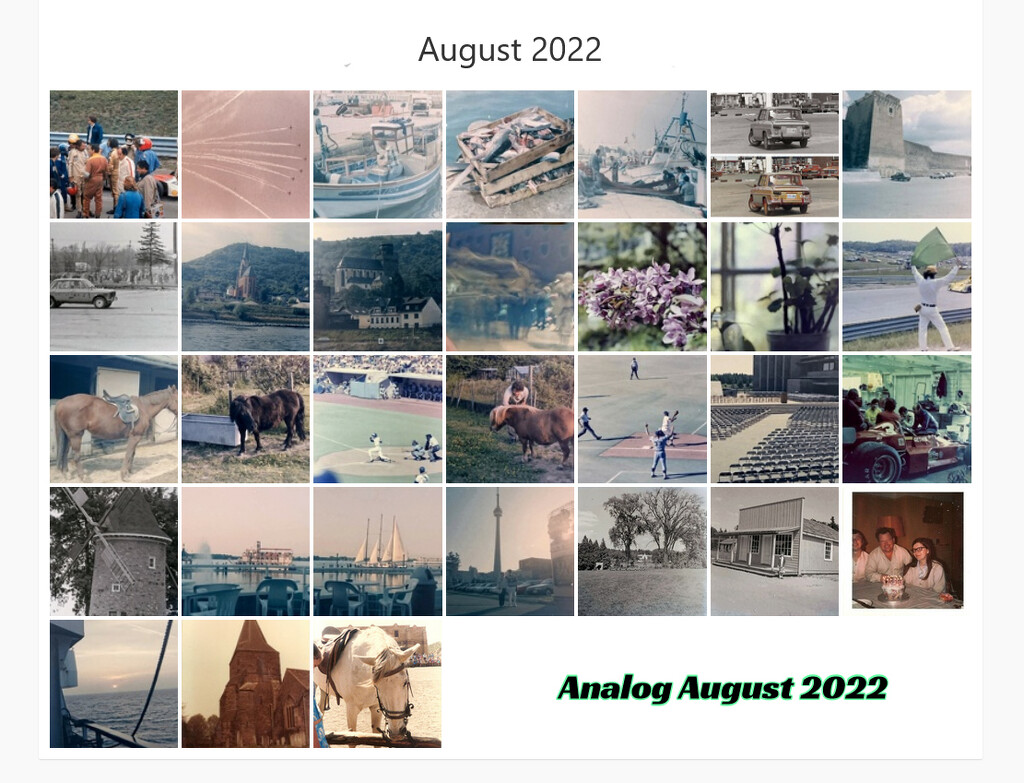 Analog August 2022  by spanishliz