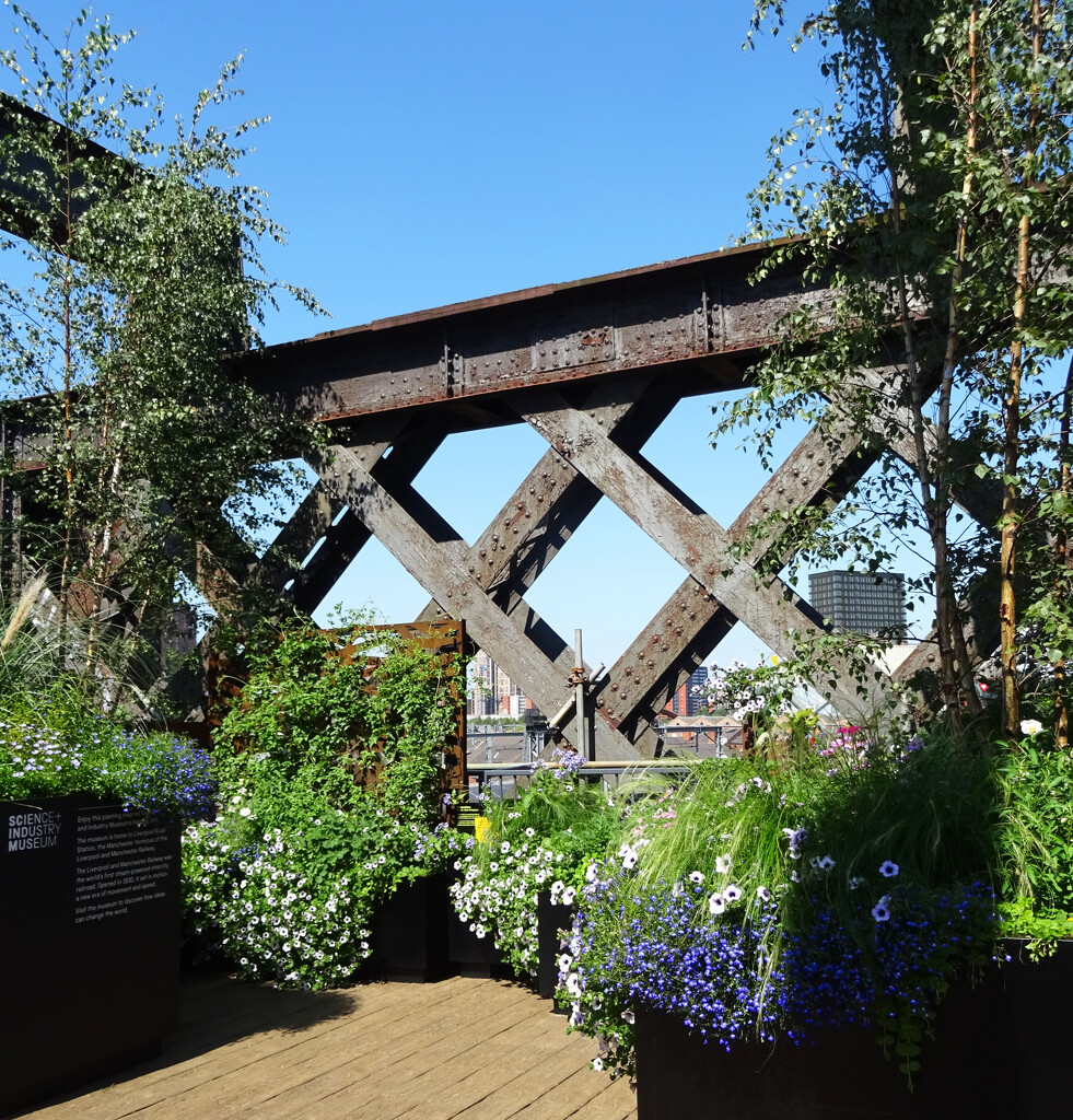 Castlefield Viaduct, Manchester by marianj