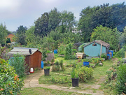 15th Aug 2022 - All quiet at the allotments