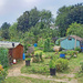 All quiet at the allotments by marianj