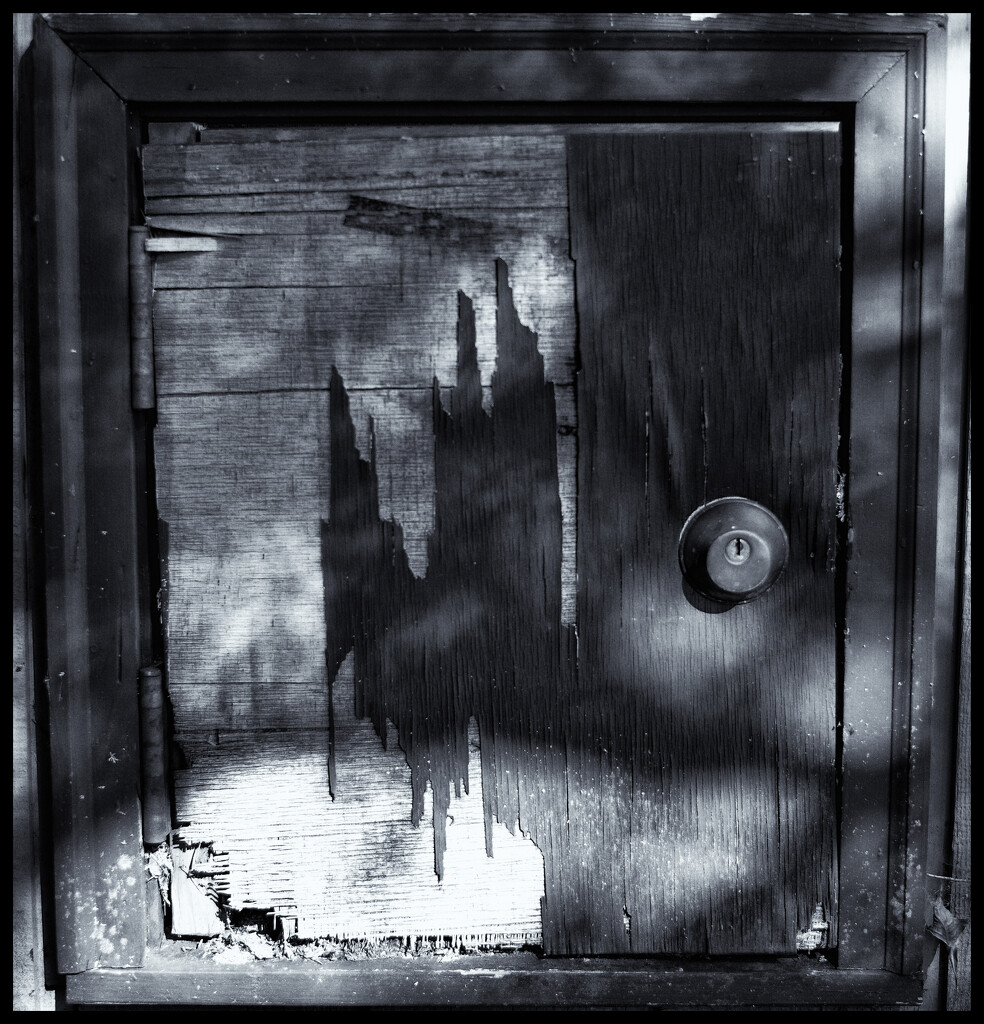 The Woodbox door by joysabin