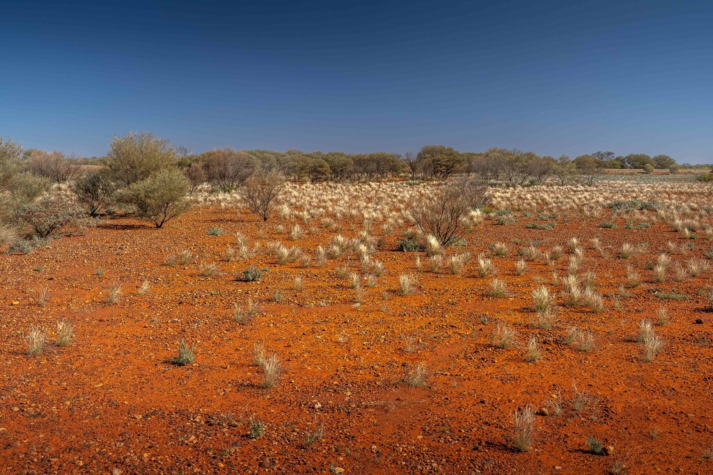 The Red Centre by pusspup