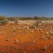 The Red Centre by pusspup