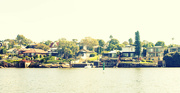 18th Mar 2022 - Parramatta River 25