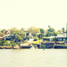 Parramatta River 25 by annied